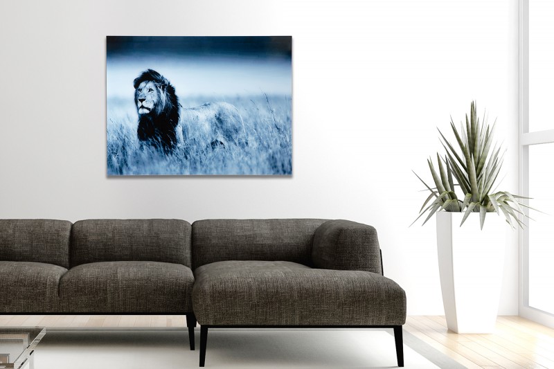 Obraz Lion King 60x80cm Löwe sklo