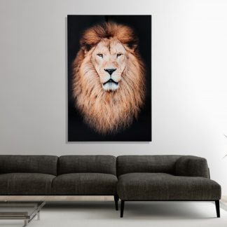 Obraz Mufasa 80x120cm Löwe sklo