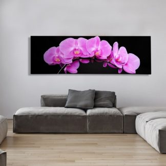 Obraz Orchidee 140x45cm ružová
