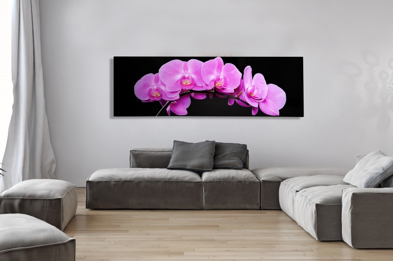 Obraz Orchidee 140x45cm ružová
