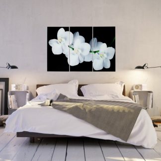 Obraz Orchidee 60x30cm 3-teilig sklo